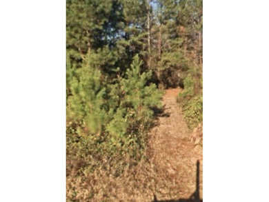 (private lake, pond, coastal) Acreage Sale Pending in Sumter South Carolina