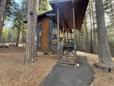 Spacious mountain home located in the highly desirable Lake - photo 45