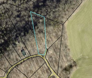 Charming Wooded Lake Cumberland Building Lot - Lake Lot For Sale in Russell Springs, Kentucky