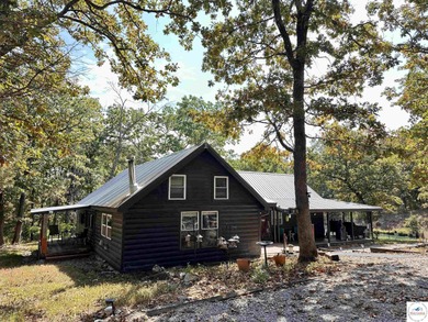 Lake Home For Sale in Warsaw, Missouri