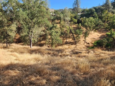 Lake Lot For Sale in Copperopolis, California