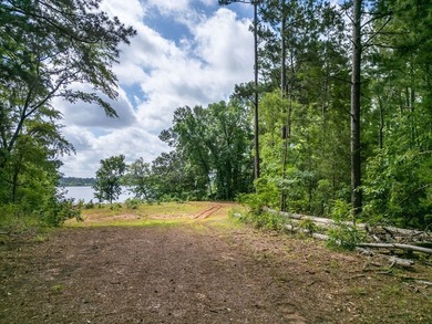 Rare opportunity to own approximately 3 acres of waterfront - photo 7
