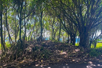 Incredible Value on a Slice of *Old Hawaii* - 1.86 Acres in the - photo 11