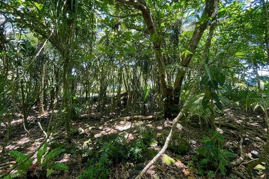 Incredible Value on a Slice of *Old Hawaii* - 1.86 Acres in the - photo 12