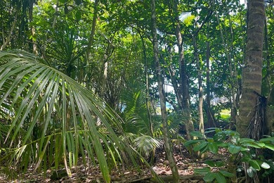 Incredible Value on a Slice of *Old Hawaii* - 1.86 Acres in the - photo 13