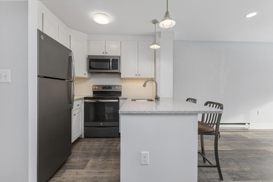 Tastefully remodeled first floor unit with a unique