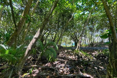 Incredible Value on a Slice of *Old Hawaii* - 1.86 Acres in the - photo 14