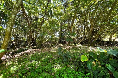 Incredible Value on a Slice of *Old Hawaii* - 1.86 Acres in the - photo 15