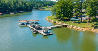 Smith Lake Investment Opportunity. This Active Marina is a - photo 5