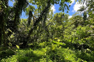 Incredible Value on a Slice of *Old Hawaii* - 1.86 Acres in the - photo 18