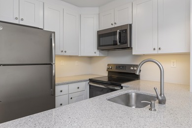 Tastefully remodeled first floor unit with a unique