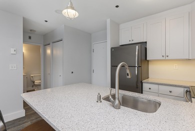 Tastefully remodeled first floor unit with a unique