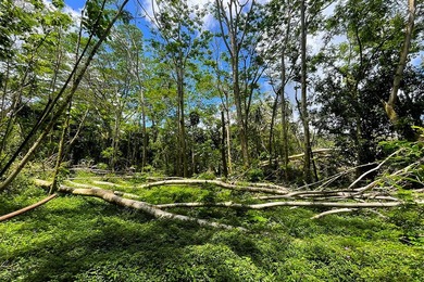 Incredible Value on a Slice of *Old Hawaii* - 1.86 Acres in the - photo 21