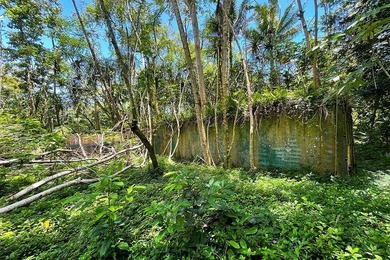 Incredible Value on a Slice of *Old Hawaii* - 1.86 Acres in the - photo 22