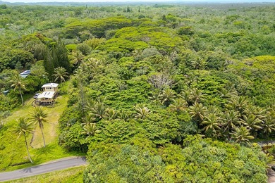 Incredible Value on a Slice of *Old Hawaii* - 1.86 Acres in the - photo 23