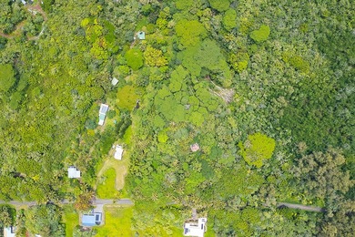 Incredible Value on a Slice of *Old Hawaii* - 1.86 Acres in the - photo 24