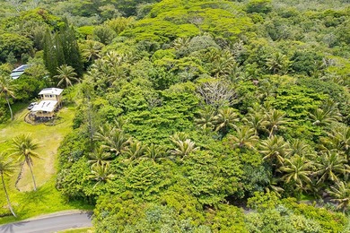 Incredible Value on a Slice of *Old Hawaii* - 1.86 Acres in the - photo 26