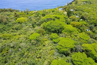 Incredible Value on a Slice of *Old Hawaii* - 1.86 Acres in the - photo 27