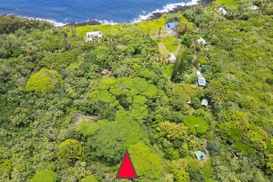 Incredible Value on a Slice of *Old Hawaii* - 1.86 Acres in the - photo 29