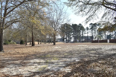 Lake Marion Lot For Sale in Manning South Carolina