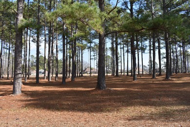 Lake Marion Lot For Sale in Manning South Carolina