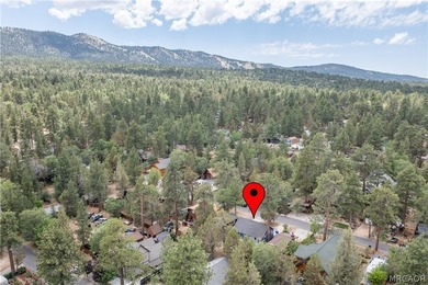 Welcome to your new home! A charming single-story mountain cabin - photo 5