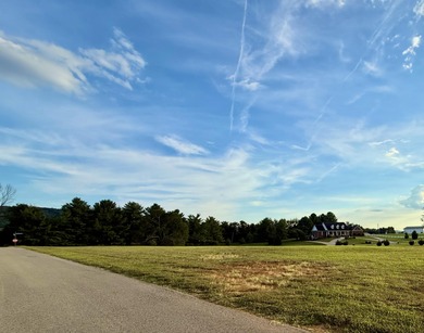 This prime building lot is located in one of Lake Cumberland's - photo 4