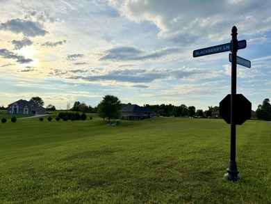This prime building lot is located in one of Lake Cumberland's - photo 6