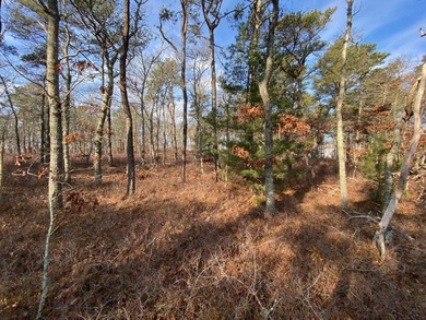 (private lake, pond, creek) Lot Sale Pending in Yarmouth Port Massachusetts