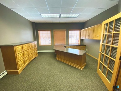 This is a rare opportunity to purchase a newly remodeled office - photo 3