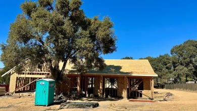 Lake Home For Sale in Copperopolis, California