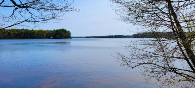 Big Lake - Vilas County Lot Under Contract in Presque Isle Wisconsin