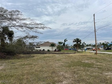 Build your dream home on this direct Gulf Access lot with - photo 2
