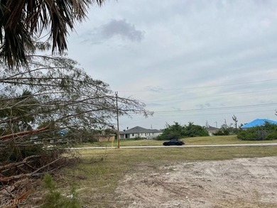 Build your dream home on this direct Gulf Access lot with - photo 4