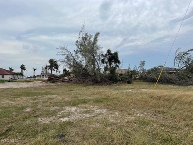 Build your dream home on this direct Gulf Access lot with - photo 5