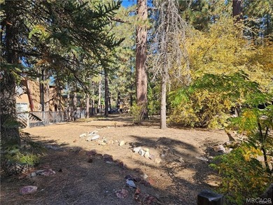 Build your dream cabin, great level treed lot nine thousand - photo 1