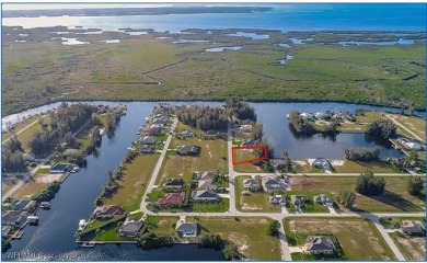Lake Lot For Sale in Cape Coral, Florida