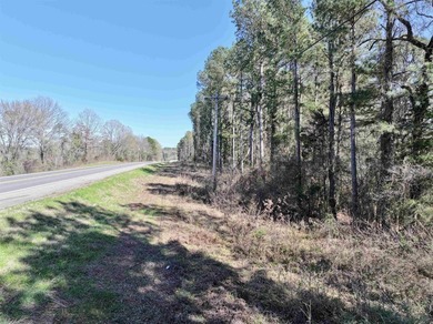 13.02+/- acres located off Highway 70 near Kirby, AR, outside - photo 11