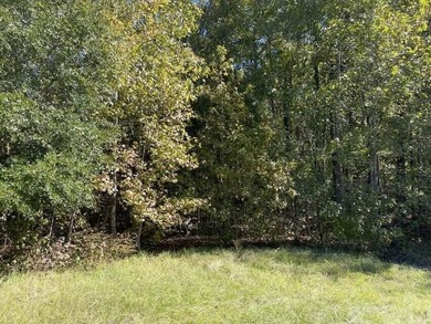 (private lake, pond, coastal) Acreage For Sale in Olar South Carolina