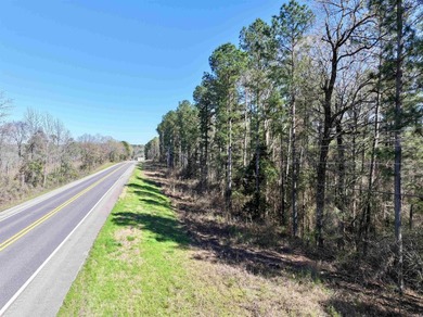 13.02+/- acres located off Highway 70 near Kirby, AR, outside - photo 12