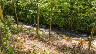 (private lake, pond, creek) Lot For Sale in Cashiers North Carolina