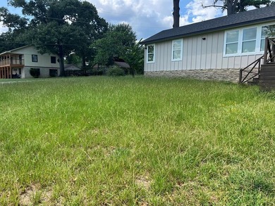 Price drop!!! Lakeview Gem w/ Private Lake Access (Lake - photo 6