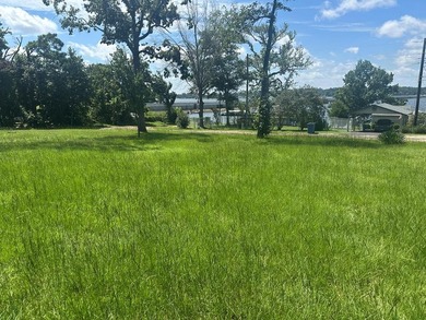 Price drop!!! Lakeview Gem w/ Private Lake Access (Lake - photo 8