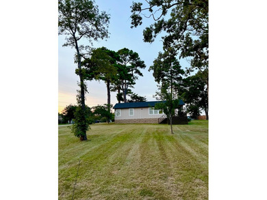 Price drop!!! Lakeview Gem w/ Private Lake Access (Lake - photo 10