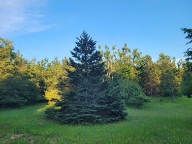 Welcome to Long Acres, a beautiful forest just outside of - photo 32