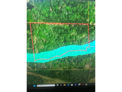 Lake Acreage For Sale in Grapeland, Texas