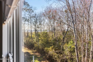 Cape Fear River views and sunset skies! This well-maintained - photo 44