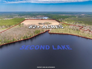 Moen Lake Acreage - Lake Acreage For Sale in Rhinelander, Wisconsin