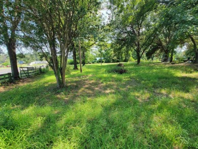 Lake Acreage For Sale in Chandler, Texas