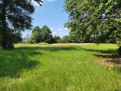Welcome to this exceptional 2.8-acre property in Chandler, Texas - photo 3